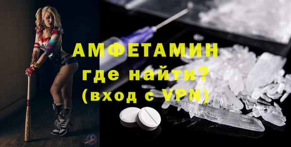дживик Бородино