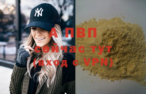 дживик Бородино