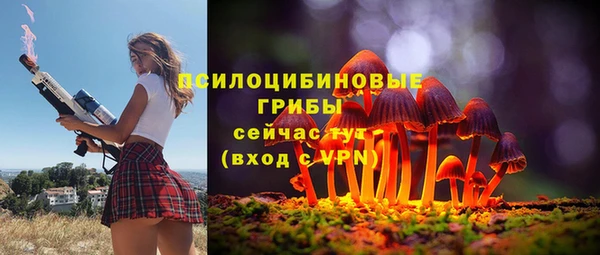 винт Верхний Тагил