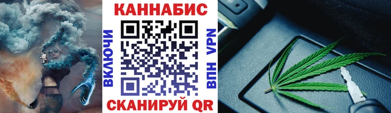 Конопля планчик Мирный